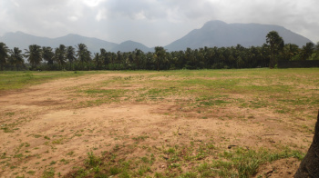 Commercial Lands /Inst. Land for Sale in Kunathurmedu, Palakkad (4.80 Cent)