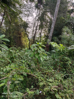 Residential Plot for Sale in Kuruvattur, Kozhikode (15 Cent)