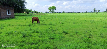 1600000 Cent Residential Plot for Sale in Kulappully, Palakkad