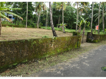 Residential Plot for Sale in Olavakkode, Palakkad (1800 Cent)