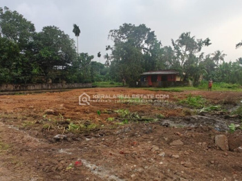 7 Cent Residential Plot for Sale in Velanthavalam, Palakkad