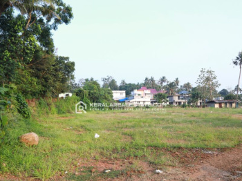 Residential Plot for Sale in Alathur, Palakkad (1 Acre)