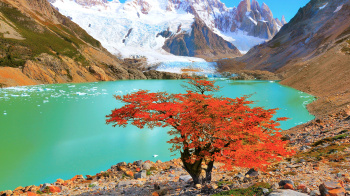 Residential site in gated community with amenities