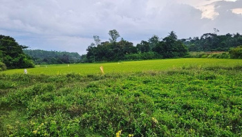 4000 Sq.ft. Commercial Lands /Inst. Land for Sale in Kalyan Nagar, Bangalore