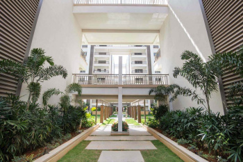 1 RK Flats & Apartments for Rent in Kalyan Nagar, Bangalore (600 Sq.ft.)