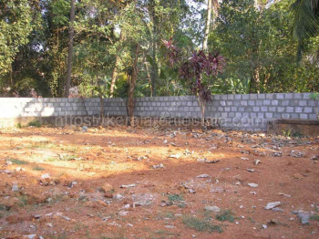 Residential Plot for Sale in Kizhakkancherry, Palakkad (17 Cent)