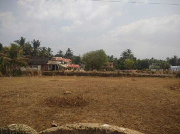 38 Cent Residential Plot for Sale in Vaniamkulam, Palakkad