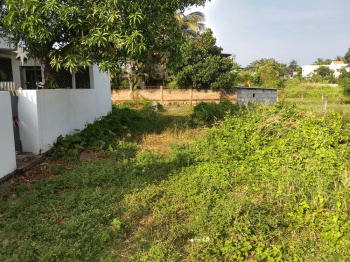 Residential Plot for Sale in Vadakkencherry, Palakkad (10 Cent)
