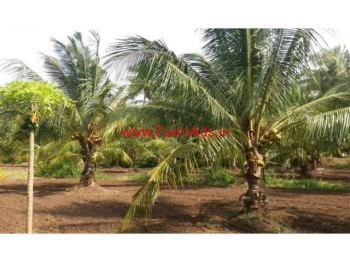 Agricultural/Farm Land for Sale in Kozhinjampara, Palakkad (2.30 Acre)