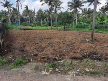 Residential Plot for Sale in Puthur, Palakkad (6.50 Cent)