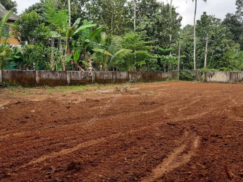 Residential Plot for Sale in Manappadam, Palakkad (20 Cent)
