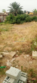 Commercial Lands /Inst. Land for Sale in Btm Layout, Bangalore (1650 Sq.ft.)