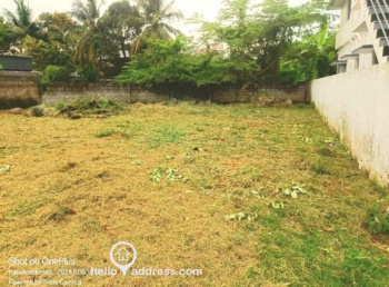 30 Cent Agricultural/Farm Land for Sale in Tharekkad, Palakkad
