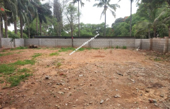 3750 Sq.ft. Residential Plot for Sale in Jayanagar, Bangalore