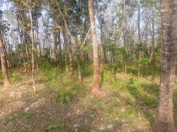 Agricultural/Farm Land for Sale in Vadakkencherry, Palakkad (1.88 Acre)
