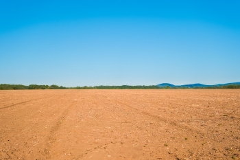 120 Cent Agricultural/Farm Land for Sale in Ramanathapuram, Palakkad