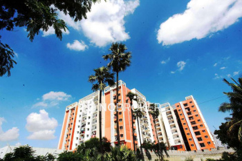 2 BHK Flats & Apartments for Sale in Hennur, Bangalore (1250 Sq.ft.)