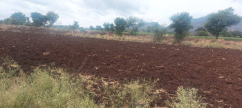 Agricultural/Farm Land for Sale in Vadakkencherry, Palakkad (16 Cent)