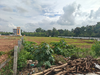 Agricultural/Farm Land for Sale in Hoskote, Bangalore (1.1875 Acre)