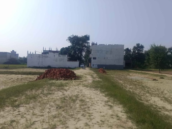 Agricultural/Farm Land for Sale in Devanahalli, Bangalore (3.125 Acre)