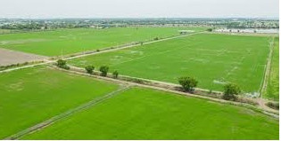 Commercial Lands /Inst. Land for Sale in Horamavu, Bangalore (2250 Sq.ft.)