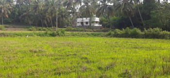 Agricultural/Farm Land for Sale in Nallepilly, Palakkad (3.06 Acre)
