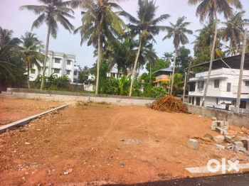 Residential Plot for Sale in Alathur, Palakkad (98 Cent)