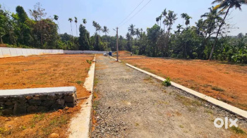 Residential Plot for Sale in Vadakkencherry, Palakkad (12 Cent)