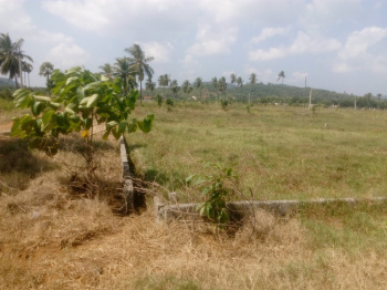 Residential Plot for Sale in Arkavathy Layout, Bangalore (2400 Sq.ft.)