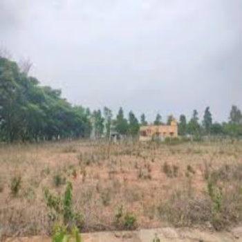Residential Plot for Sale in Kalyan Nagar, Bangalore (600 Sq.ft.)