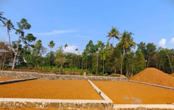 Residential Plot for Sale in Pattambi, Palakkad (15 Cent)