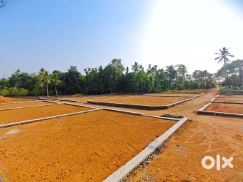 Residential Plot for Sale in Vadakkencherry, Palakkad (12 Cent)