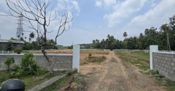 Residential Plot for Sale in Vadakkencherry, Palakkad (200 Cent)
