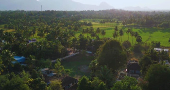 Residential Plot for Sale in Mudappallur, Palakkad (6.50 Cent)