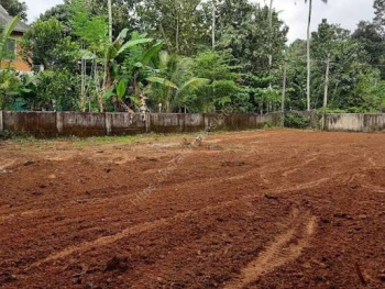 Residential Plot for Sale in Kodumba, Palakkad (10 Cent)