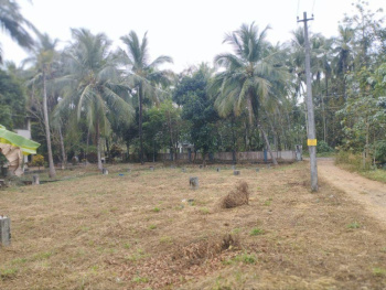 Residential Plot for Sale in Kodumba, Palakkad (10 Cent)
