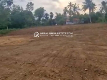 Residential Plot for Sale in Devanahalli, Bangalore (16 Acre)