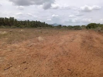 Residential Plot for Sale in Kannambra, Palakkad (44 Cent)