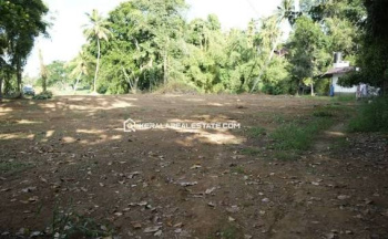 Residential Plot for Sale in Pudussery, Palakkad (23 Cent)