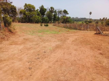 Agricultural/Farm Land for Sale in Attapadi, Palakkad (5 Acre)