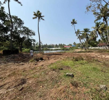 Residential Plot for Sale in Alathur, Palakkad (50 Cent)