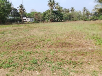 Residential Plot for Sale in Alathur, Palakkad (45 Cent)