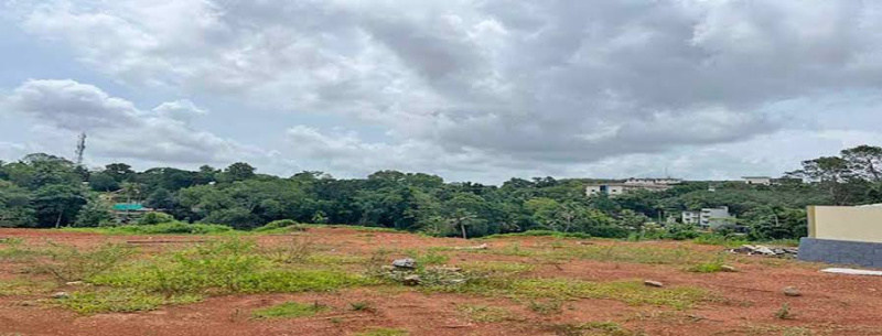 Property for sale in Alathur, Palakkad
