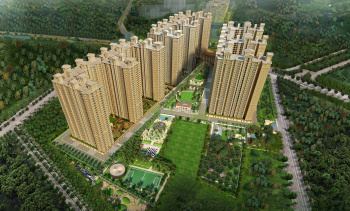 3 BHK Flats & Apartments for Sale in Phase 1, Bangalore (1550 Sq.ft.)