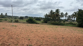 Residential Plot for Sale in Horamavu, Bangalore (19602 Sq.ft.)