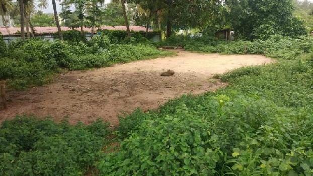 8.5 Cent Residential Plot for Sale in Olavakkode, Palakkad
