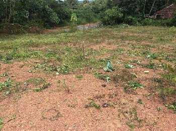 8 Cent Residential Plot For Sale In Velanthavalam, Palakkad
