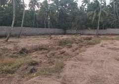 16 Cent Residential Plot For Sale In Pirayiri, Palakkad