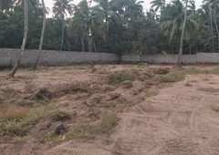 16 Cent Residential Plot for Sale in Pirayiri, Palakkad