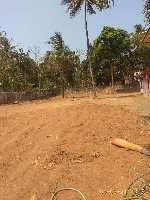 11.50 Acre Commercial Lands /Inst. Land for Sale in Wadakkanchery, Thrissur